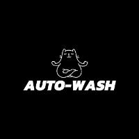 Auto-Wash image 3